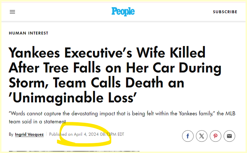 Yankees Executive’s Wife Killed After Tree Falls on Her Car ...